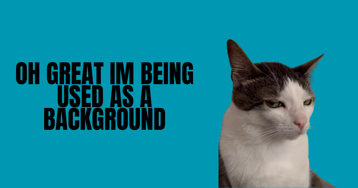 The Rise of Meme Marketing: Turning Humor Into Brand Power