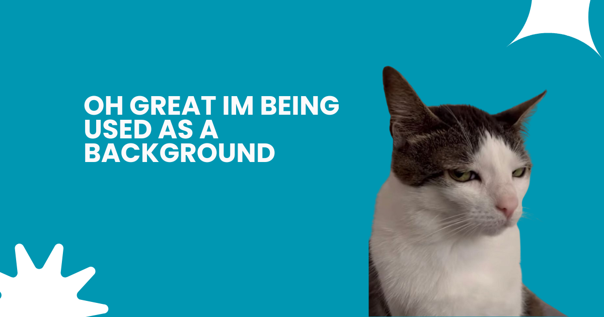 The Rise of Meme Marketing: Turning Humor Into Brand Power